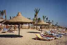 Dolphin Beach Resort